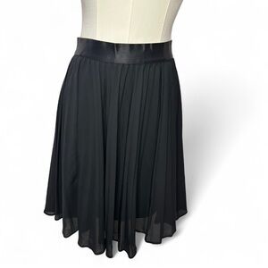 Express 2016 Black Skater Skirt